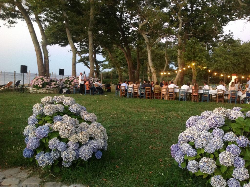 תרמה Archondissa Beach Aparthotel מראה חיצוני תמונה