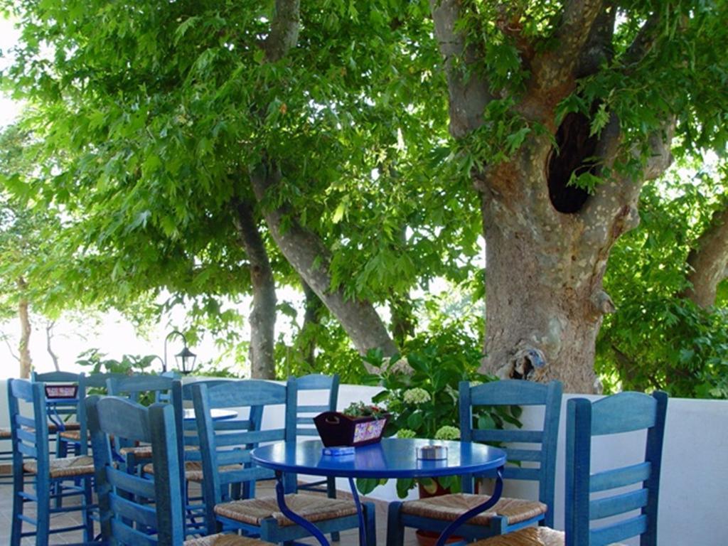 תרמה Archondissa Beach Aparthotel מראה חיצוני תמונה