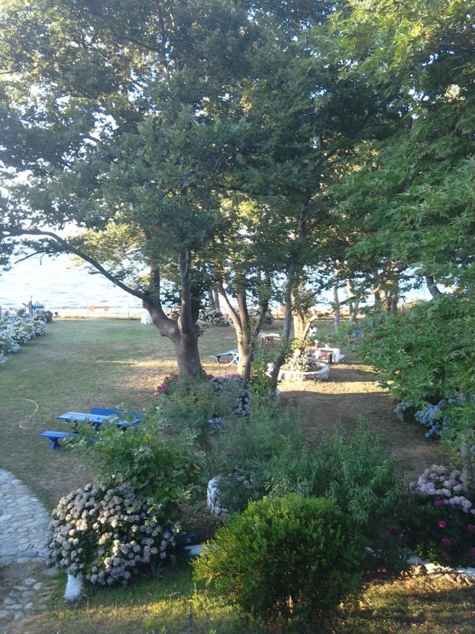 תרמה Archondissa Beach Aparthotel מראה חיצוני תמונה