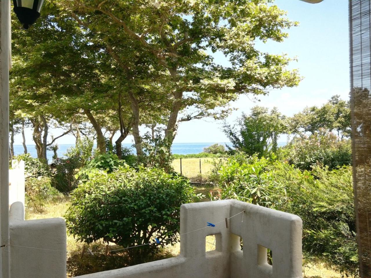 תרמה Archondissa Beach Aparthotel מראה חיצוני תמונה