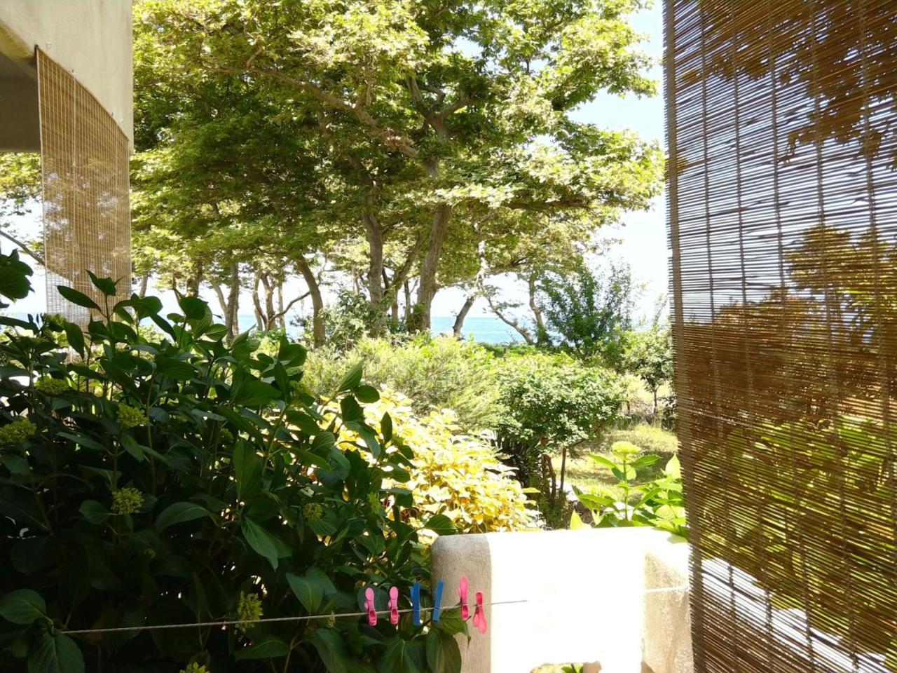 תרמה Archondissa Beach Aparthotel מראה חיצוני תמונה